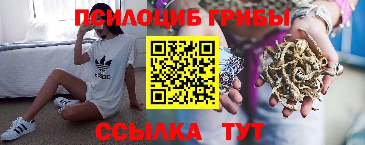 Псилоцибиновые грибы MAGIC MUSHROOMS  Галлюциногенные грибы ЛСД  Шуя  Вход с VPN 